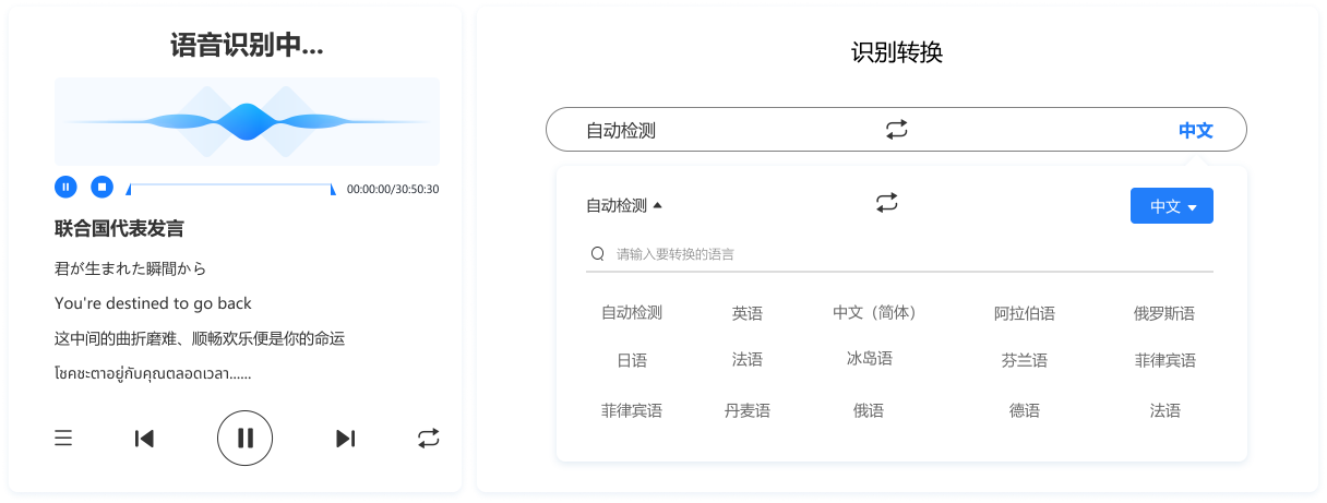 多语言识别展示图