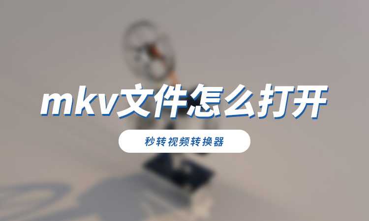 mkv文件怎么打开